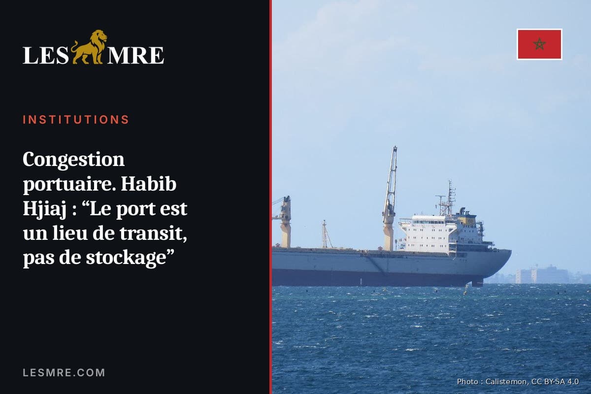 Congestion portuaire. Habib Hjiaj : “Le port est un lieu de transit, pas de stockage”