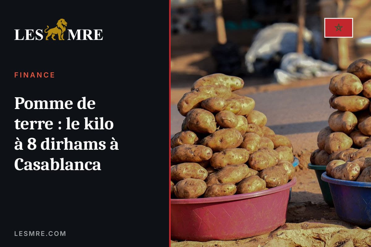 Pomme de terre : le kilo à 8 dirhams à Casablanca