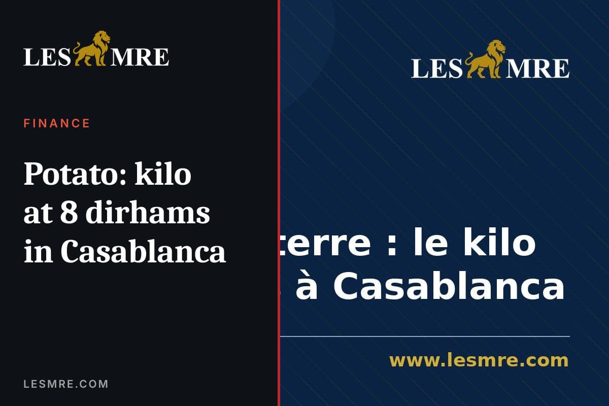 Pomme de terre : le kilo à 8 dirhams à Casablanca