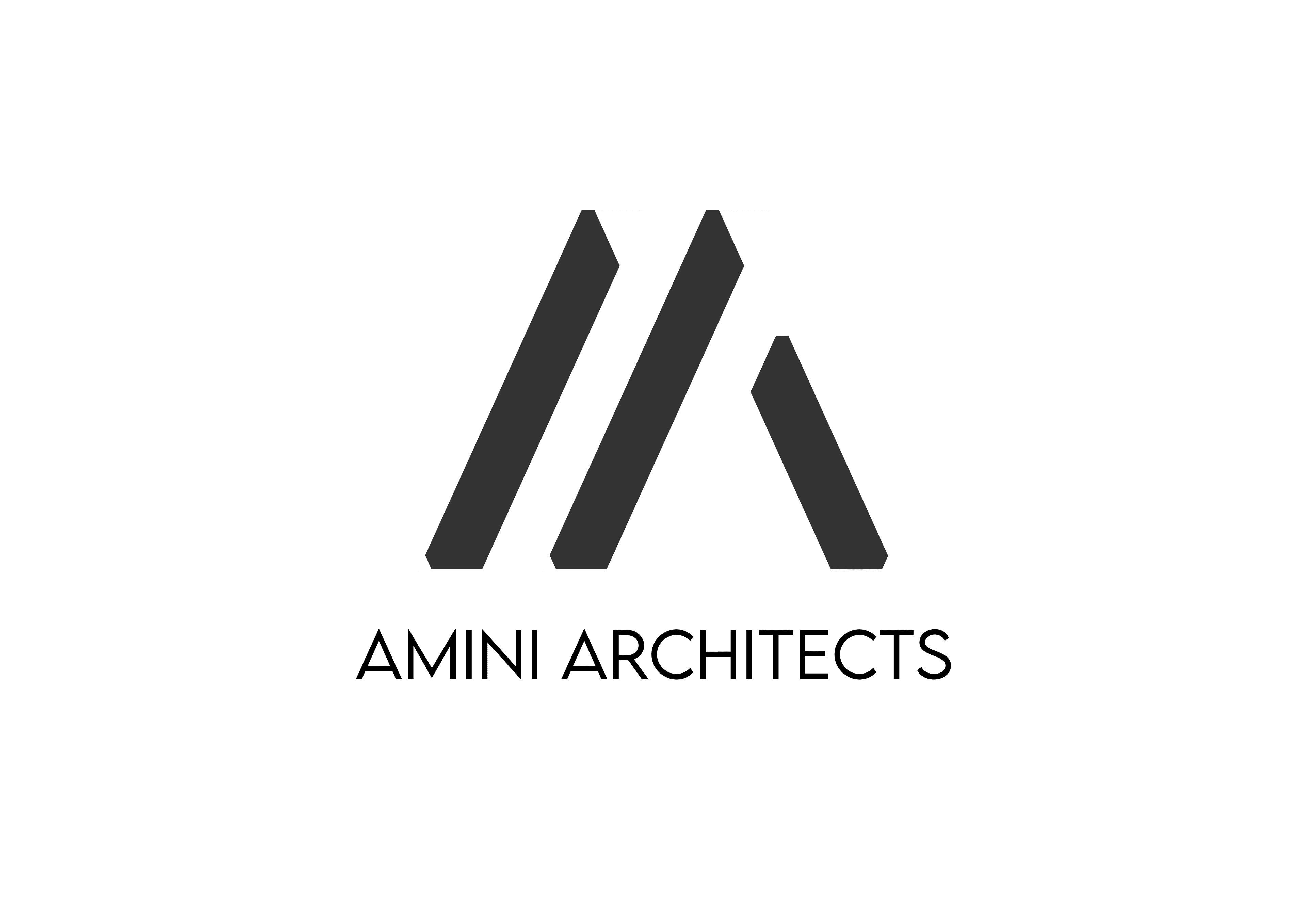 El Mehdi Amini